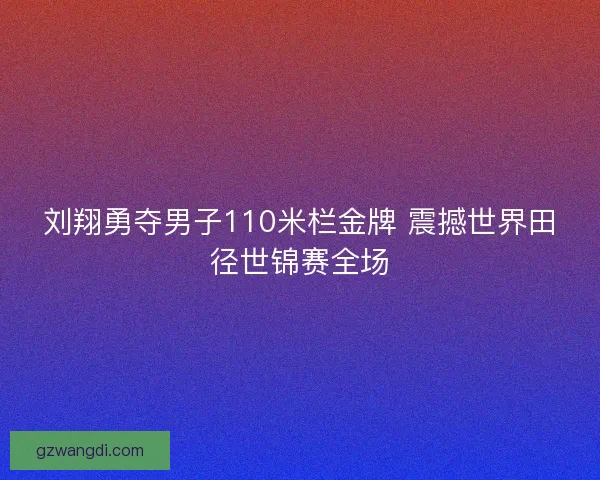 刘翔勇夺男子110米栏金牌 震撼世界田径世锦赛全场