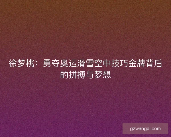 徐梦桃：勇夺奥运滑雪空中技巧金牌背后的拼搏与梦想