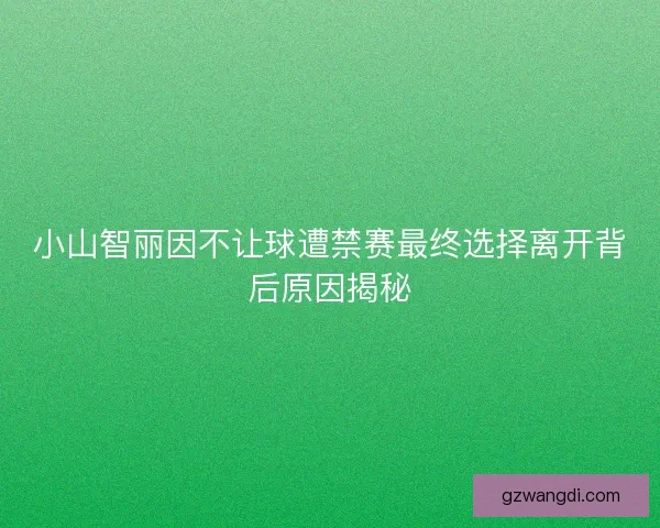 小山智丽因不让球遭禁赛最终选择离开背后原因揭秘